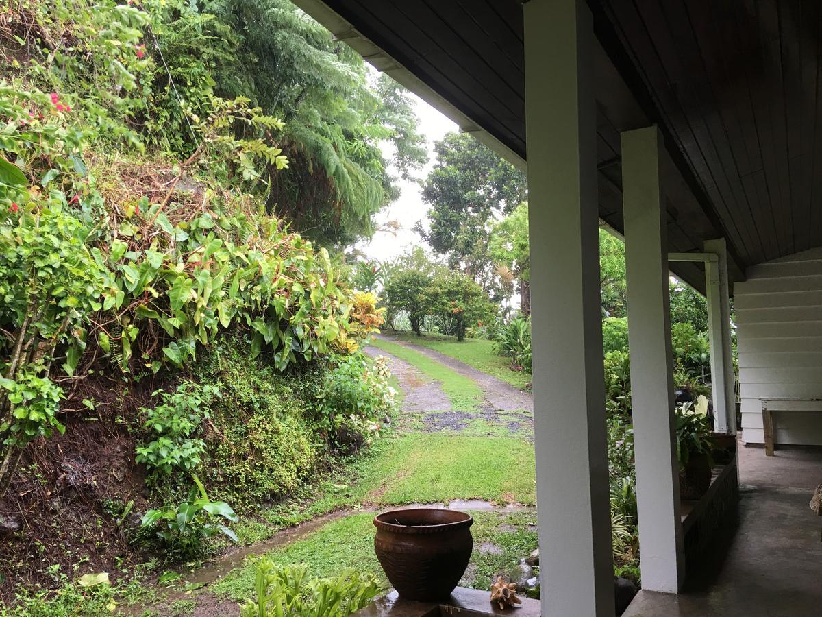 Treetops Villa Port Antonio Exterior foto
