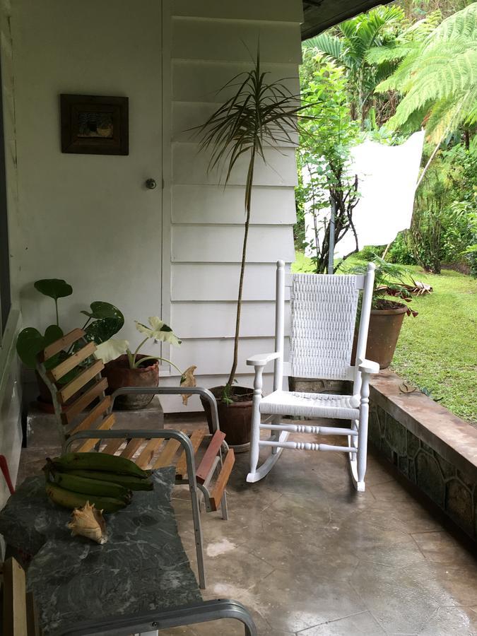 Treetops Villa Port Antonio Exterior foto